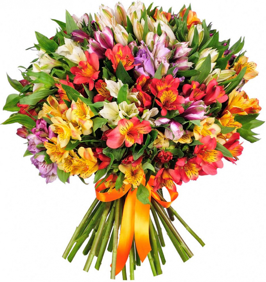 Альстромерии Микс № 1 Альстромерии Микс № 1