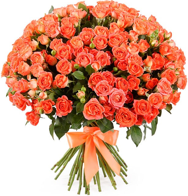 Кустовые оранжевые розы